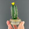 Glass Cactus