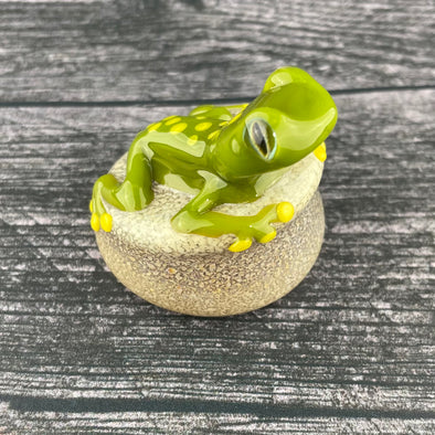 Glass Frog