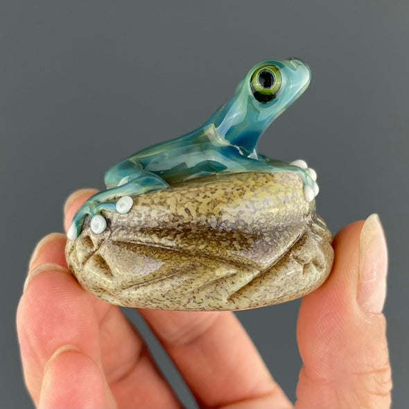 Glass Frog