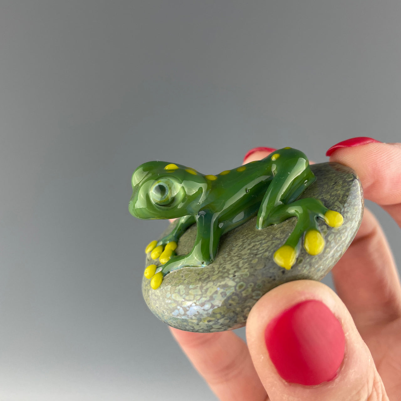 glass frog on a glass rock